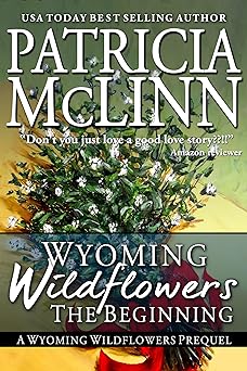 Wyoming Wildflowers: The Beginning (Wyoming Wildflowers, Book 1): (A love at first sight Christmas romance)