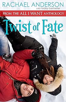 Twist of Fate (A Holiday Romance Novella)