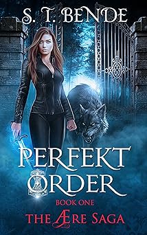 Perfekt Order (The Ære Saga Book 1)