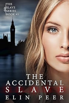 The Accidental Slave (Aya's story) (The Slave Series Book 1)