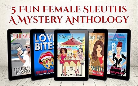 Five Fun Female Sleuths: A Mystery Anthology